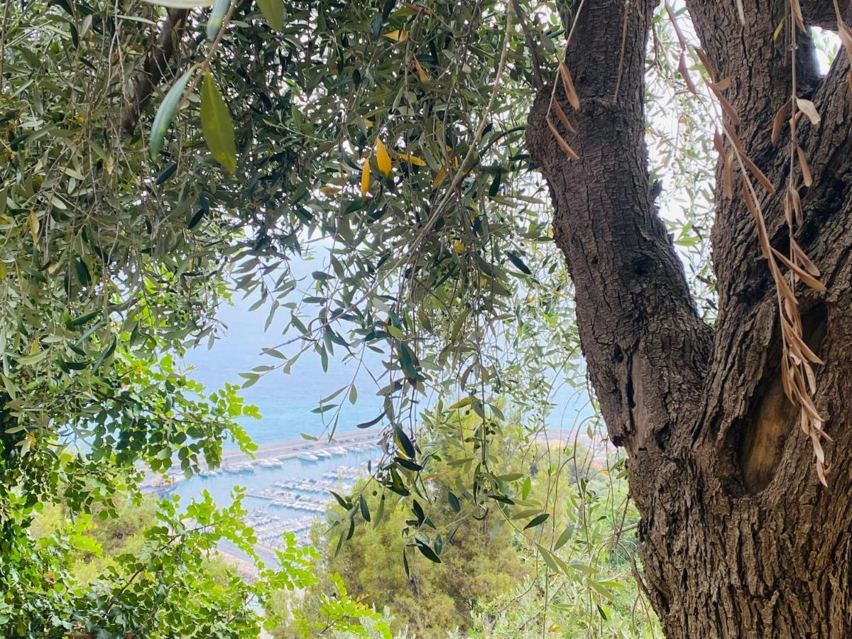 “Da Senso” Relax Nel Verde Vista Mare Finale Ligure Zewnętrze zdjęcie