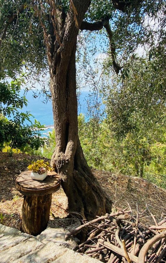 “Da Senso” Relax Nel Verde Vista Mare Finale Ligure Zewnętrze zdjęcie